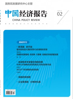 中国经济报告